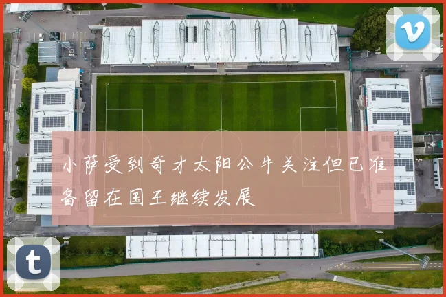 小萨受到奇才太阳公牛关注但已准备留在国王继续发展