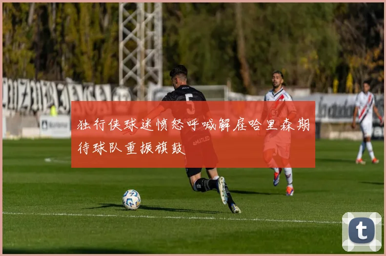 独行侠球迷愤怒呼喊解雇哈里森期待球队重振旗鼓
