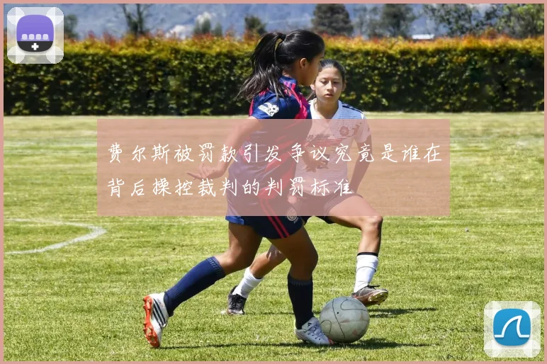费尔斯被罚款引发争议究竟是谁在背后操控裁判的判罚标准