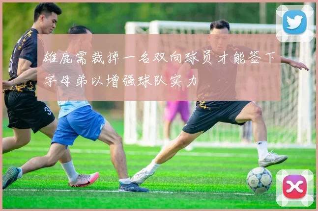 雄鹿需裁掉一名双向球员才能签下字母弟以增强球队实力